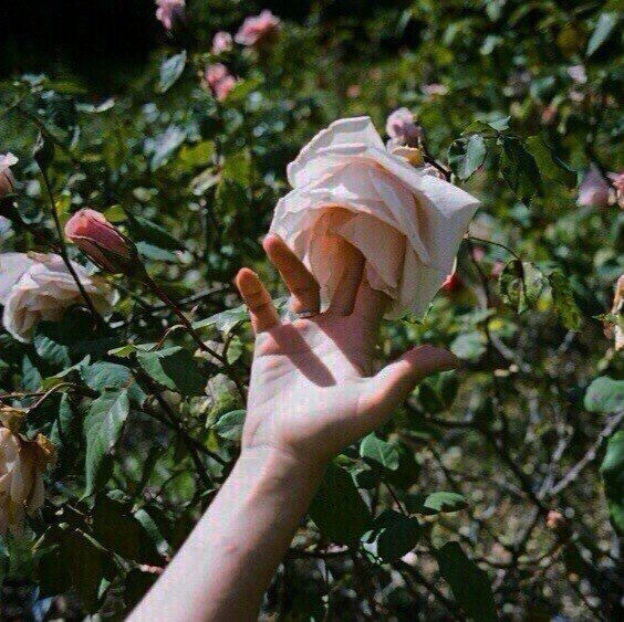 Orgasm During Penetration: The Anatomy That Explains Everything