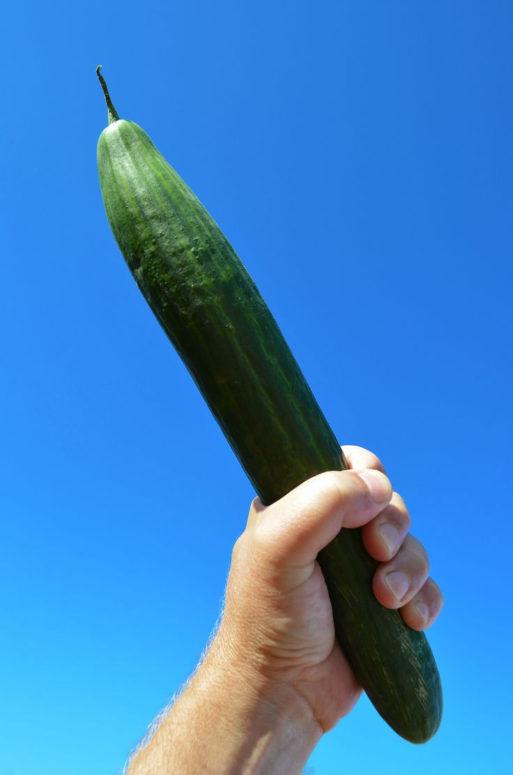 Penile Sensitivity: A Step-by-Step Guide to Understanding and Optimising Sensation
