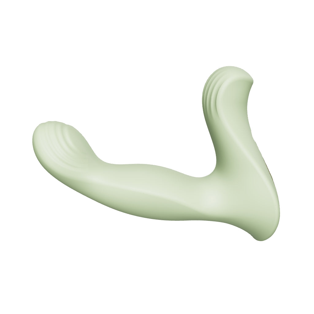 prostate vibrator 3D view